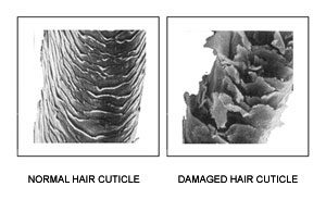 Normal and Damaged hair